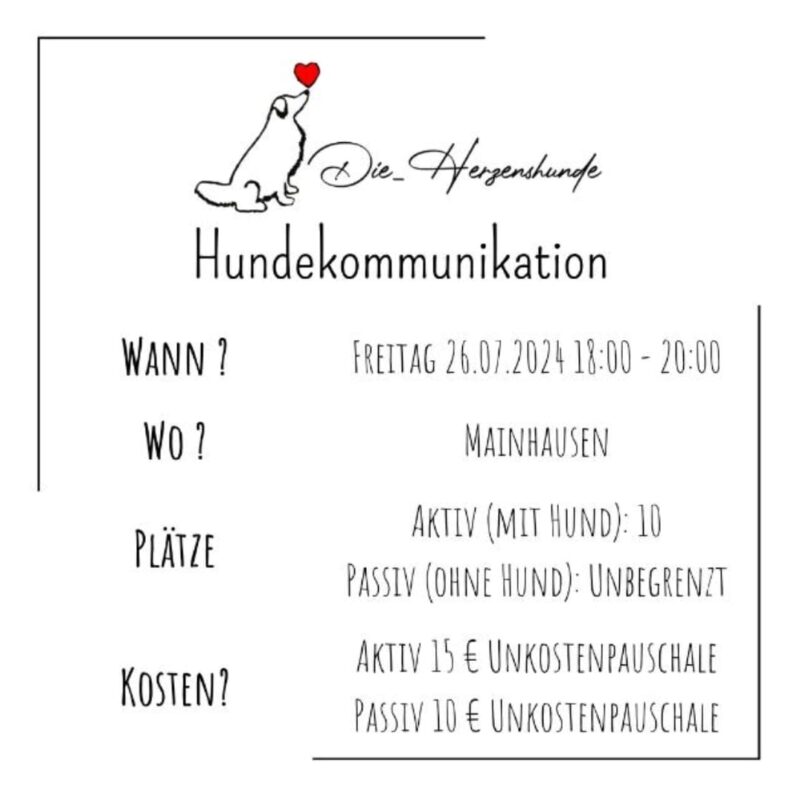 Hundekommunikation 26.07.2024