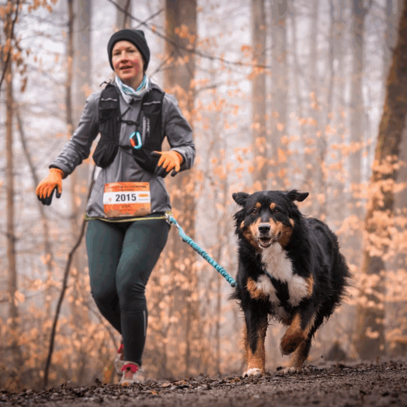 Laufen/Walken ohne Hund 27.09.2025 10:00 Uhr